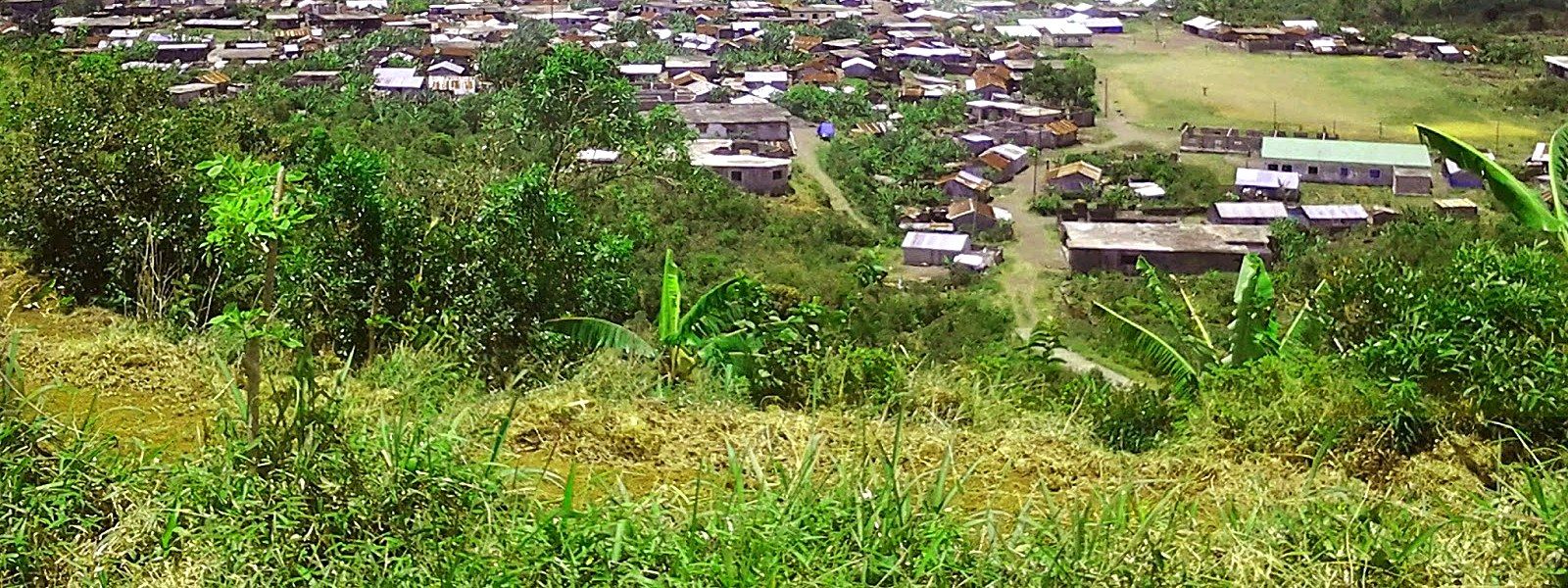 Vue aérienne du village de Nkourani-Sima, maisons entourées de bananeraies